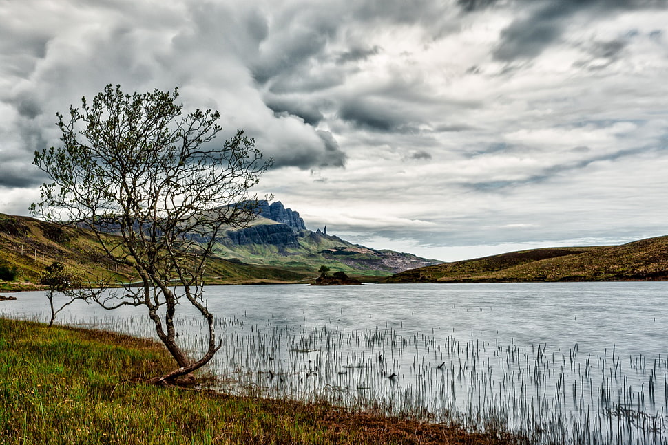 white sky photography HD wallpaper
