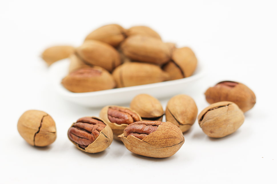 brown nuts HD wallpaper