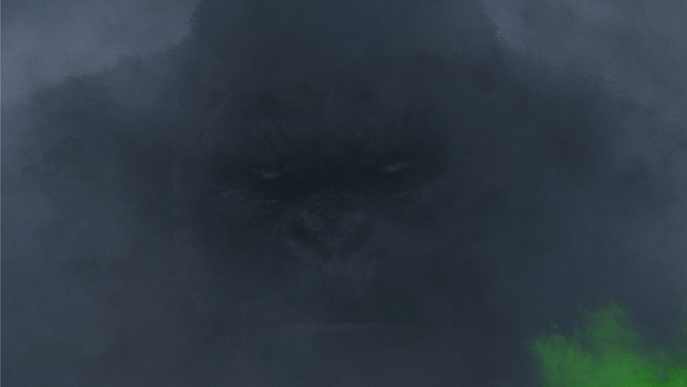 photo of black ape HD wallpaper