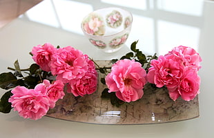 pink petaled flowers on brown holder HD wallpaper