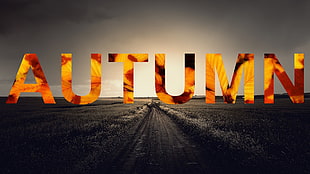 Autumn logo, fall, seasons, text