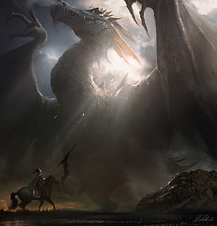 black dragon, fantasy art, dragon, Darek Zabrocki  HD wallpaper