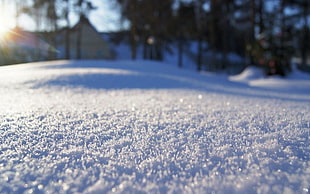 selective focus photograph of snow, depth of field, snow, winter