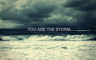 you are the storm digital wallpaper, typography, sea, clouds, horizon