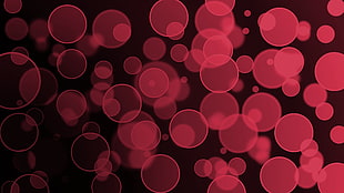 red and black bokeh lights