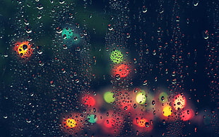 dew drops and multicolored lights