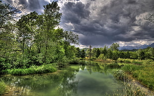 photo of lake surrounded by trees, nature, landscape, HDR, trees