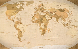 white and brown floral area rug, map, world map