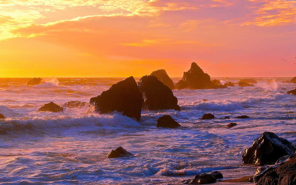 seashore, nature HD wallpaper