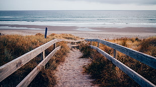 brown wooden fence pathway towards seashore during daytime