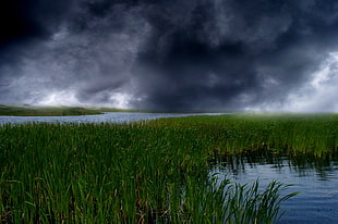 green field with dark cloudy sky background