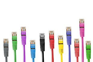 multicolored ethernet cables HD wallpaper