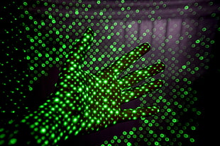 person's left hand, Hand, Light, Green HD wallpaper