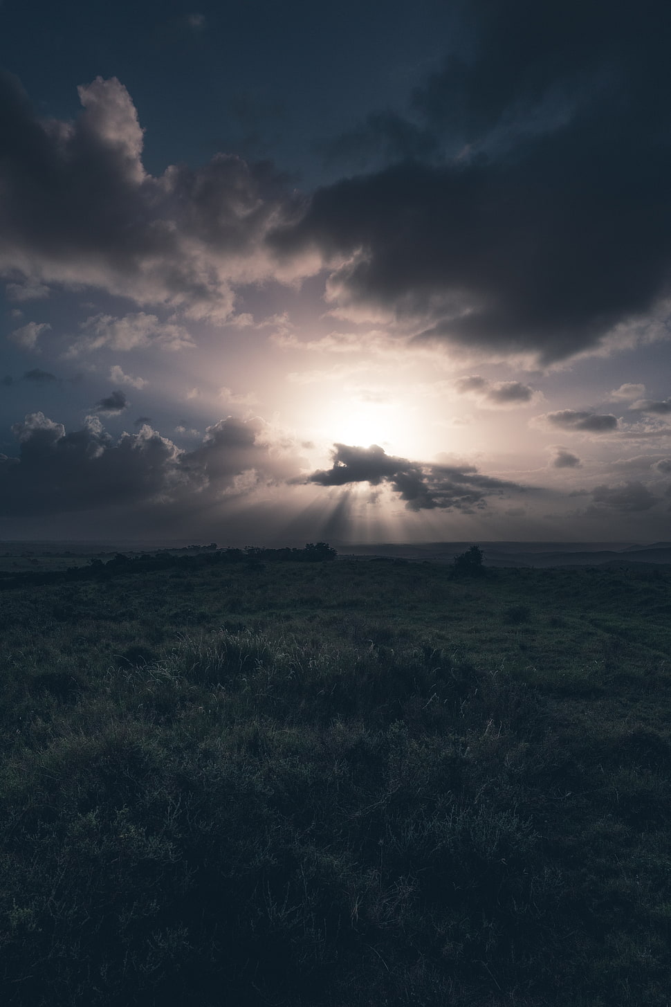 gray sky, Field, Grass, Clouds HD wallpaper