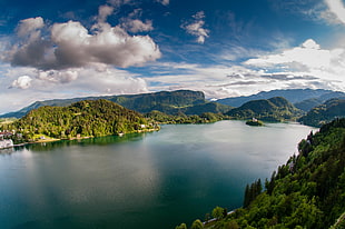 aerial view of lake surrounded by green mountains during daytime, lake bled