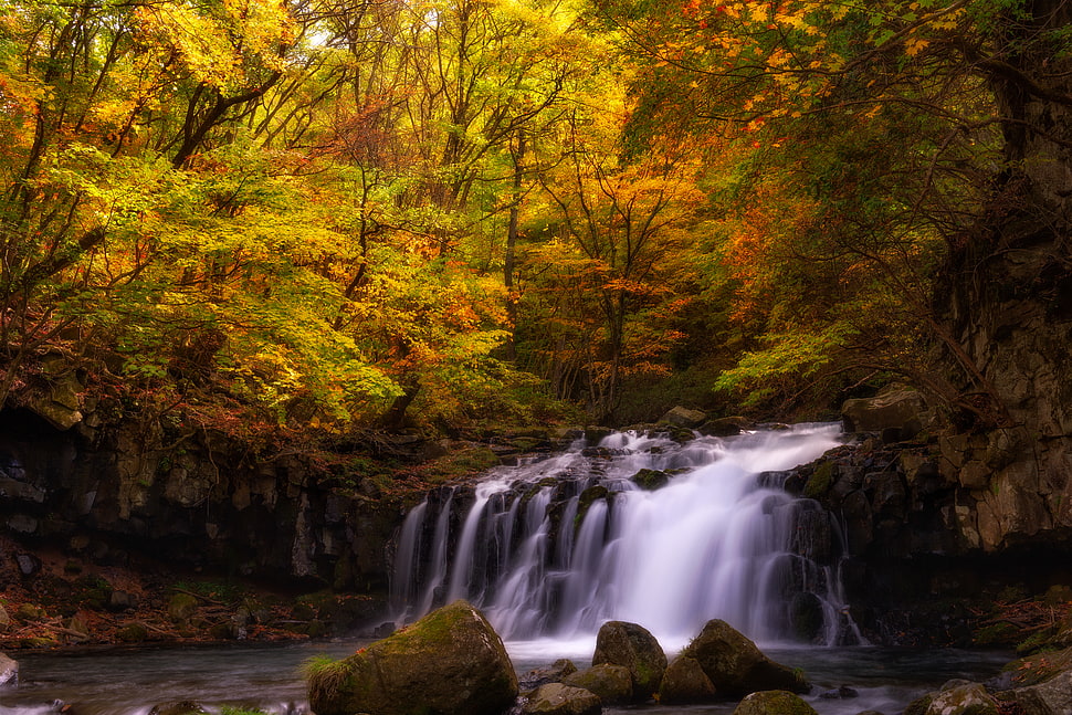 waterfalls during daytime HD wallpaper