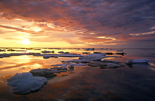 calm body of water during golden hour HD wallpaper