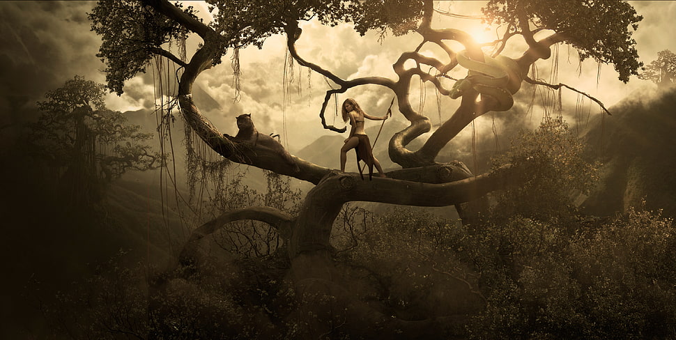 the Legend of Tarzan movie poster screenshot HD wallpaper