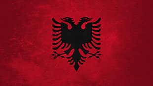 black birds logo, flag, Albania