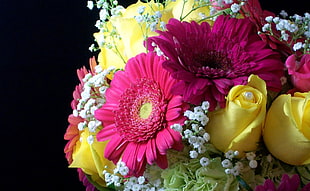 pink Gerberas with yellow Roses and Baby's Breaths bouquet HD wallpaper