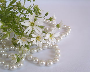 white pearl necklace and white clustered flower on white table HD wallpaper