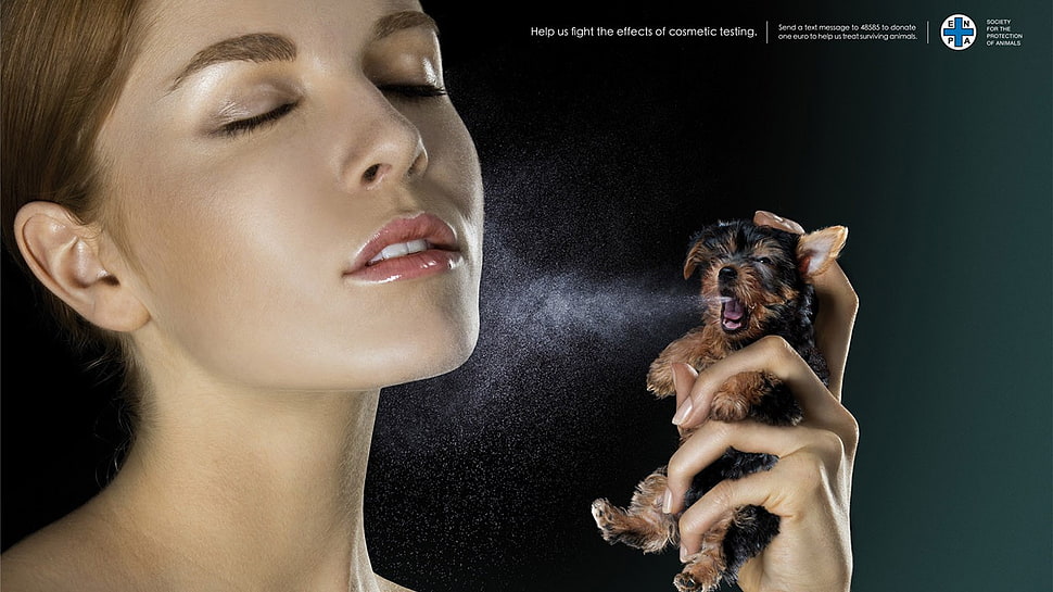 dog figurine spray bottle advertisement, artwork HD wallpaper