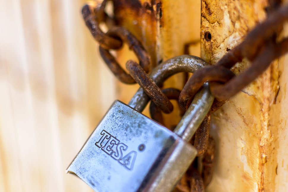 gray Tesa lock on chain HD wallpaper