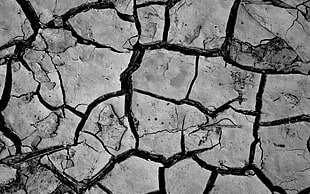 cracked dried soil closeup photography