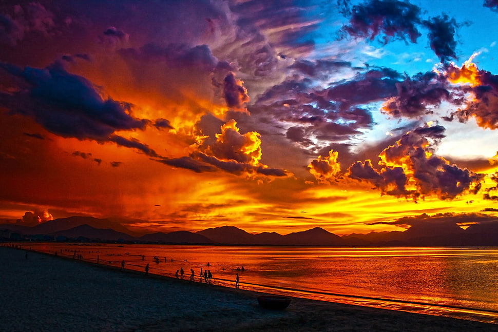 silhouette ocean view HD wallpaper