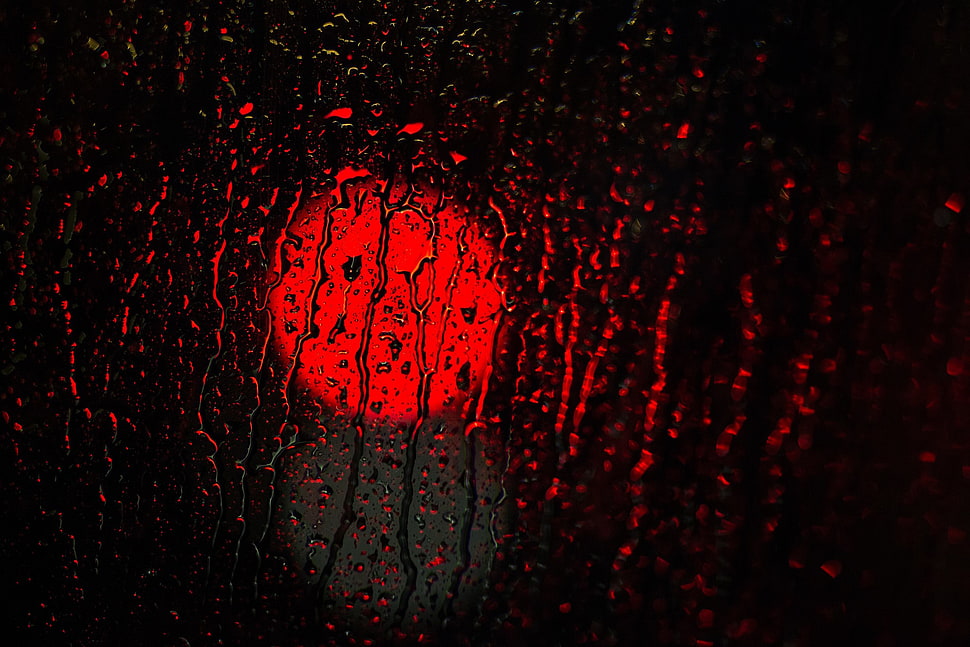 rain, red, water HD wallpaper