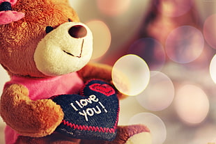 brown teddy bear with heart pillow photography HD wallpaper