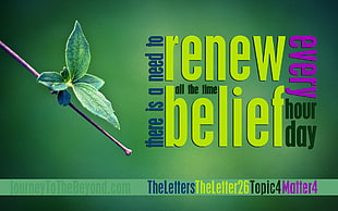 green leafed plant, Islam, belief, religion, typography