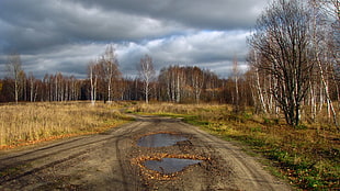 two puddles by the road HD wallpaper