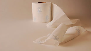 white and blue floral toilet paper, paper