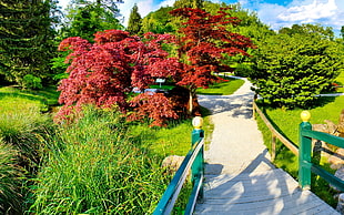green grass near white and green wooden bridge during daytime