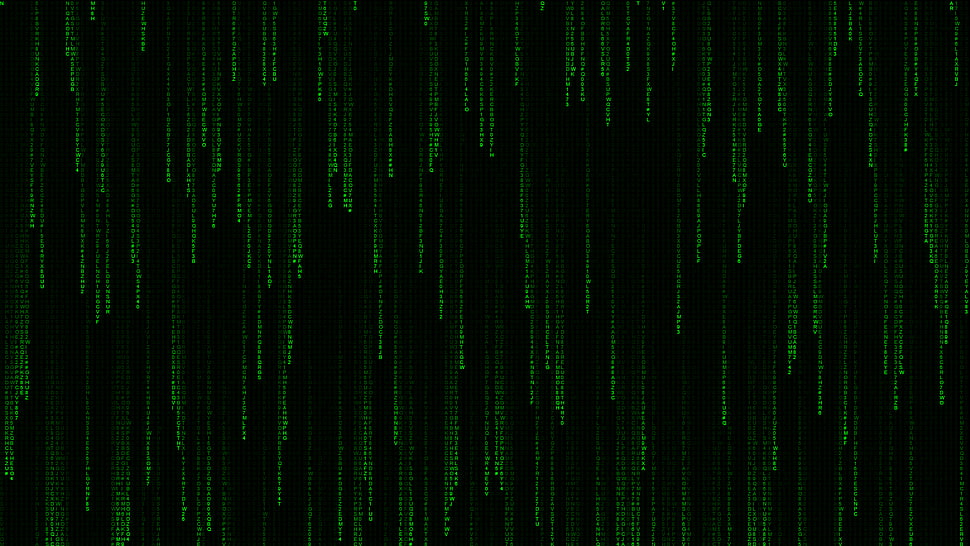 green stripe digital wallpaper, abstract, The Matrix HD wallpaper