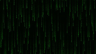 green stripe digital wallpaper, abstract, The Matrix HD wallpaper