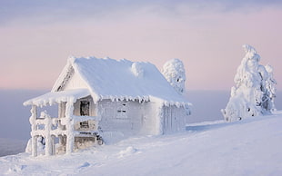 snow covered house, winter, snow, cabin, ice