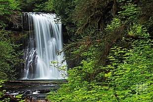 photo of water falls and trees