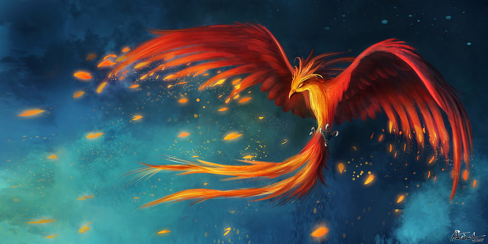 phoenix illustration, phoenix HD wallpaper