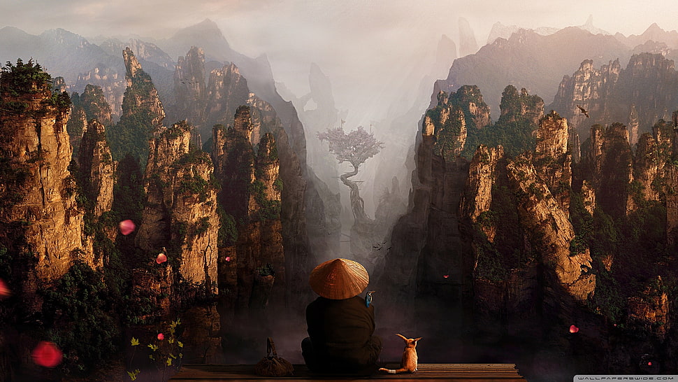 person wearing brown hat in front of mountains illustration, fantasy art HD wallpaper
