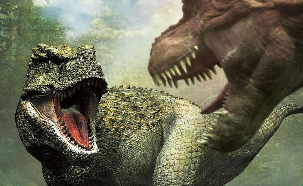 Tyrannosaurus rex illustration HD wallpaper