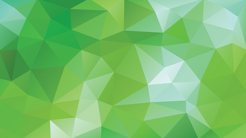 green and white area rug, pattern HD wallpaper