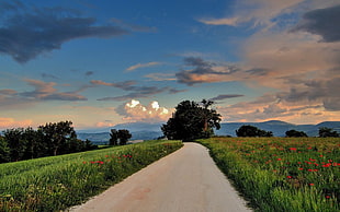 brown roadway in between grass painting, landscape, nature, road, sky