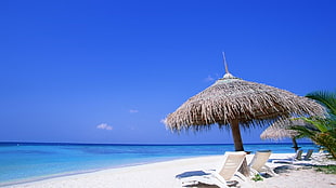brown nipa beach umbrella with beach lounge chair on seashore during daytime HD wallpaper