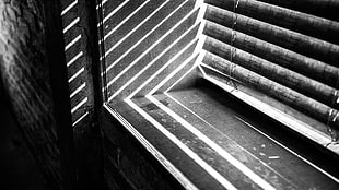 window blinds, photography, monochrome, window sill, sunlight