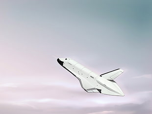 white and black hair straightener, artwork, space shuttle