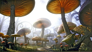orange mushrooms illustration, mushroom, fantasy art HD wallpaper