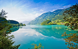 green leafed tree, nature, reflection, Lake Lungern, Switzerland HD wallpaper
