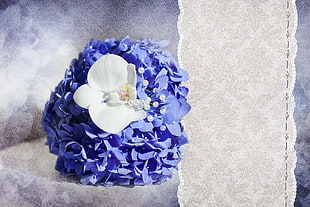 white Moth Orchid and purple Hydrangea flower
